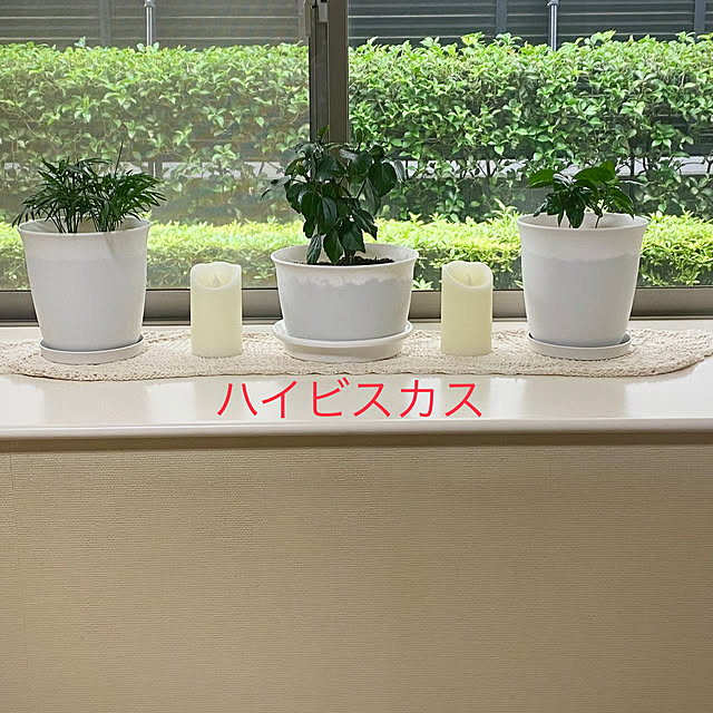 YuuKoさんの実例写真