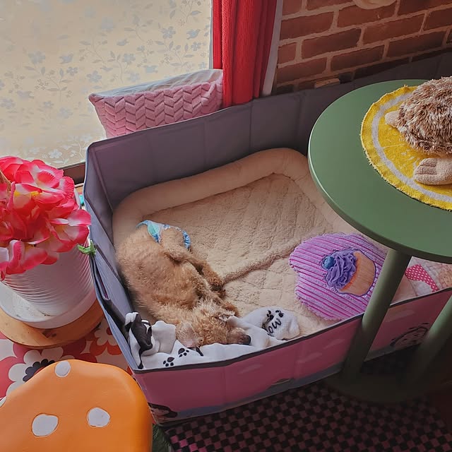 kumutanさんの部屋