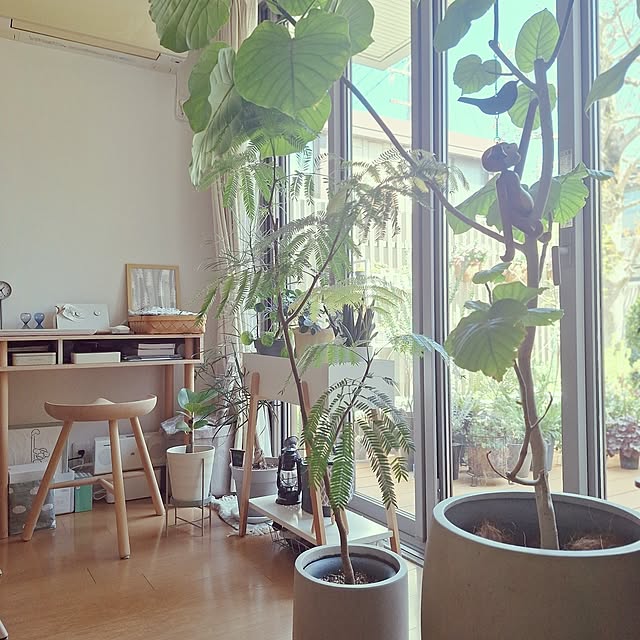 souさんの実例写真