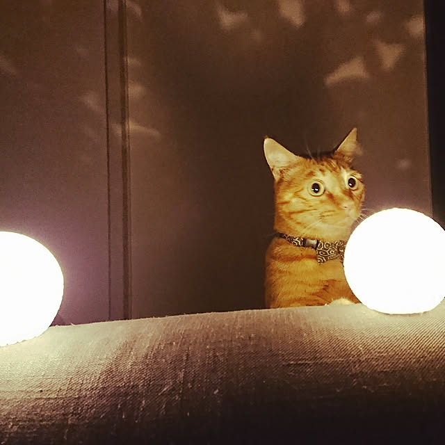 u00kさんの実例写真