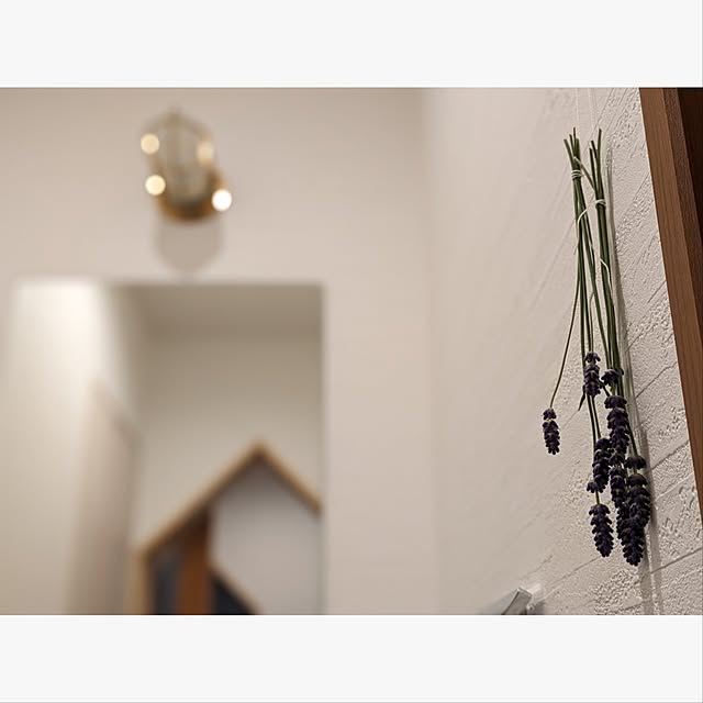 sudachiさんの実例写真