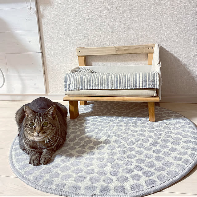 t-famさんの実例写真