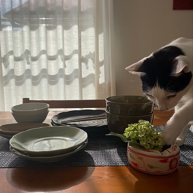 nobikoさんの実例写真