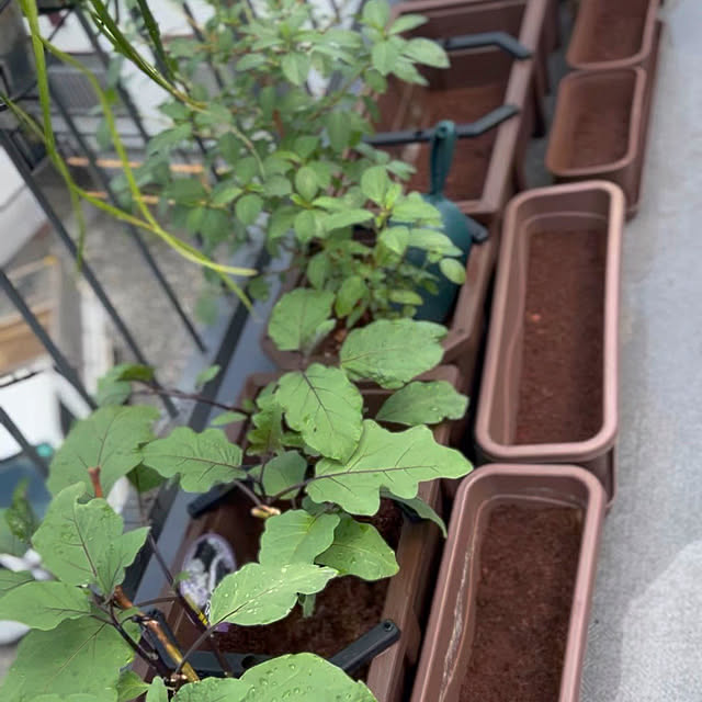 nee_roomさんの部屋