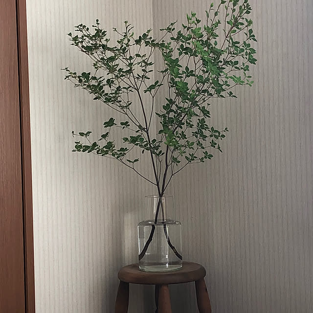 satoさんの実例写真