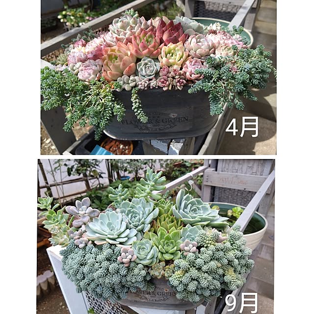 mamaさんの実例写真