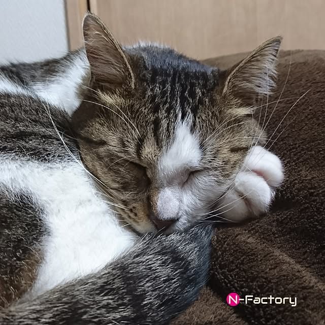 N-Factoryさんの実例写真