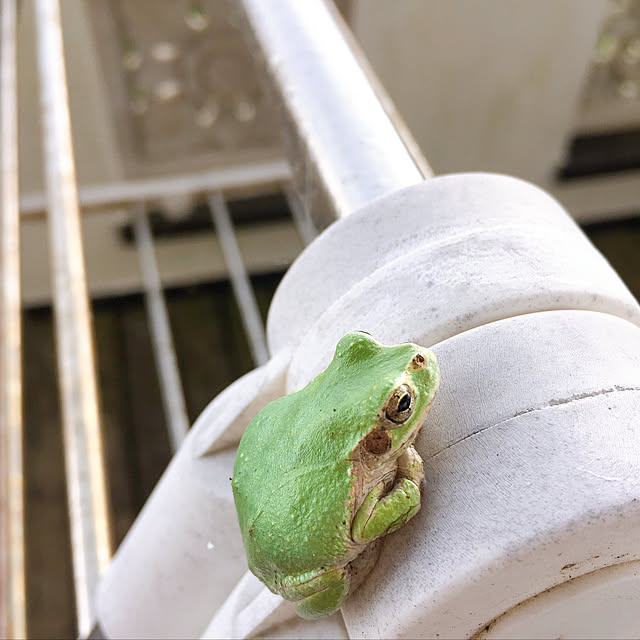 Nagakoさんの実例写真