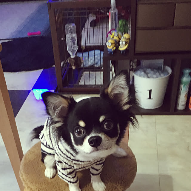nさんの実例写真
