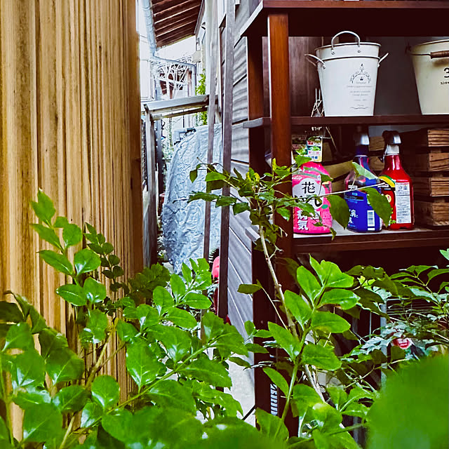chacoさんの部屋