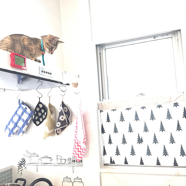 yuhaさんの実例写真