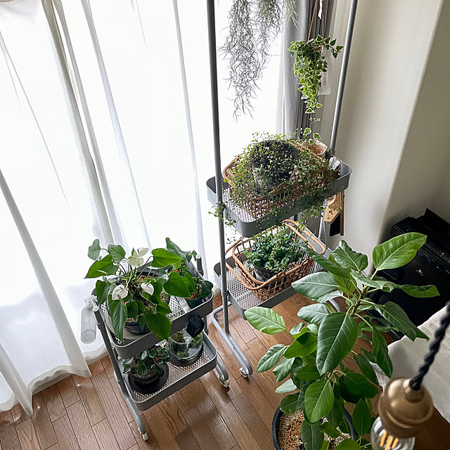 yasuyo66さんの部屋