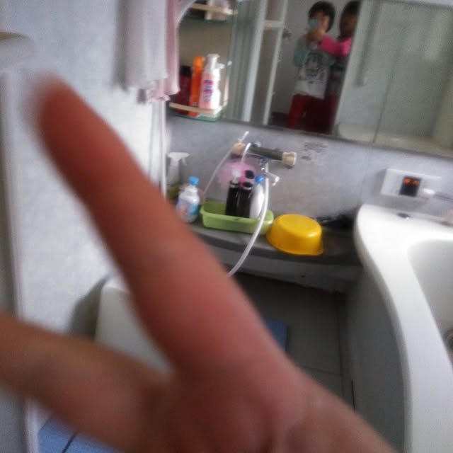 実例写真