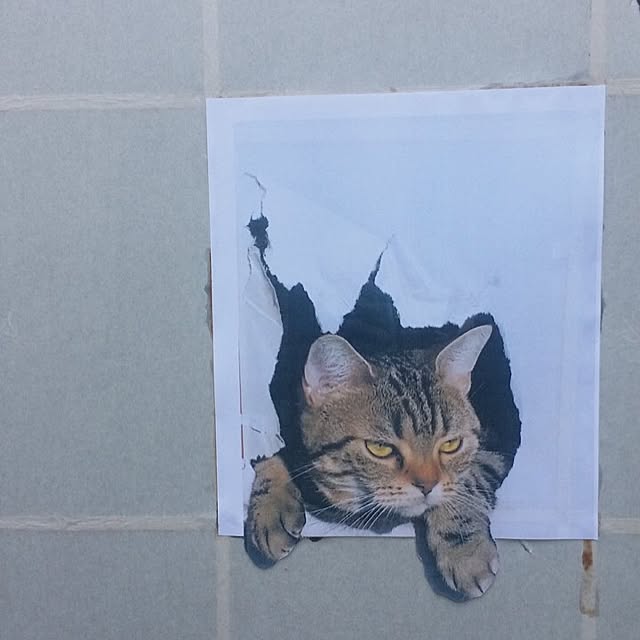sakurahabitさんの実例写真