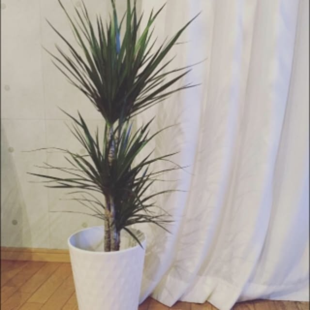 Kさんの実例写真