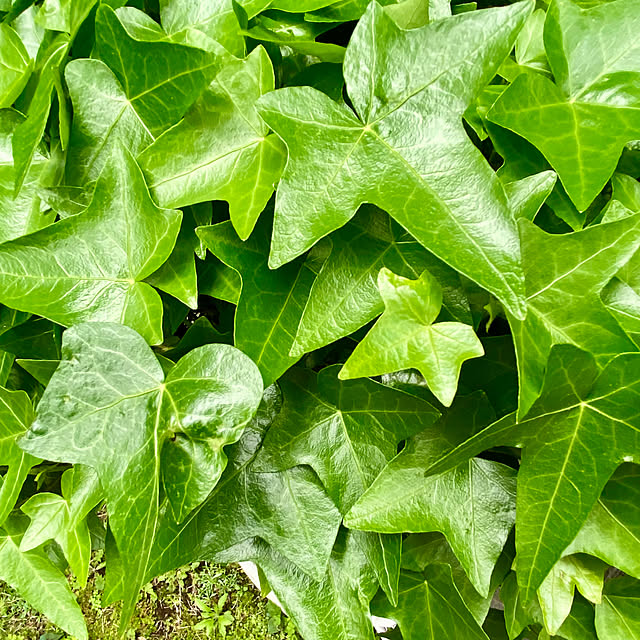 YuuKoさんの部屋