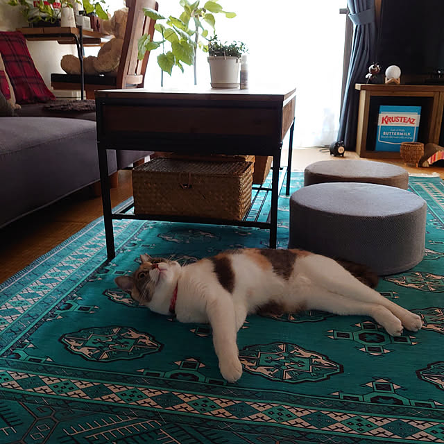 fukuさんの実例写真
