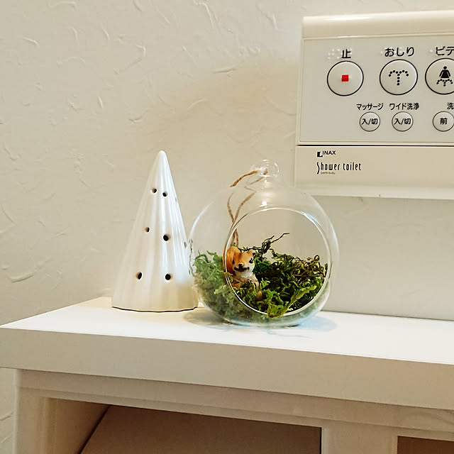 バス/トイレ/100均/ダイソー/ナチュラルのインテリア実例 - 2019-11-23 11:34:12