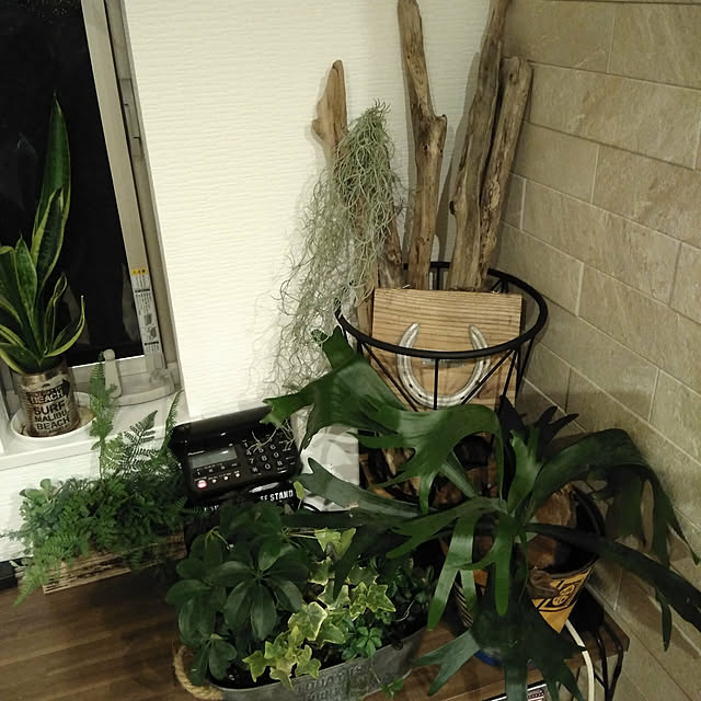 koto.ohanaさんの実例写真