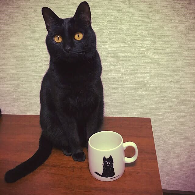 yonaさんの実例写真