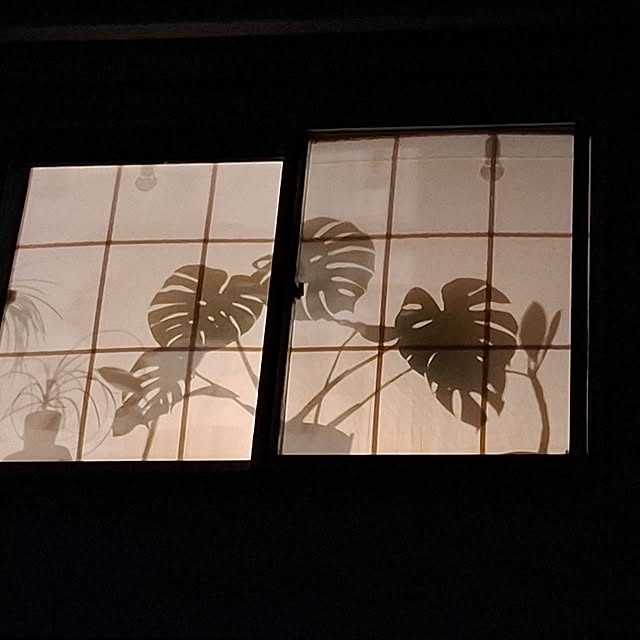 midoriさんの部屋