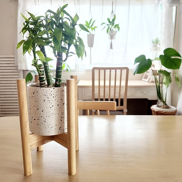 pinonさんの部屋