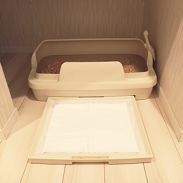 shiiiさんの実例写真