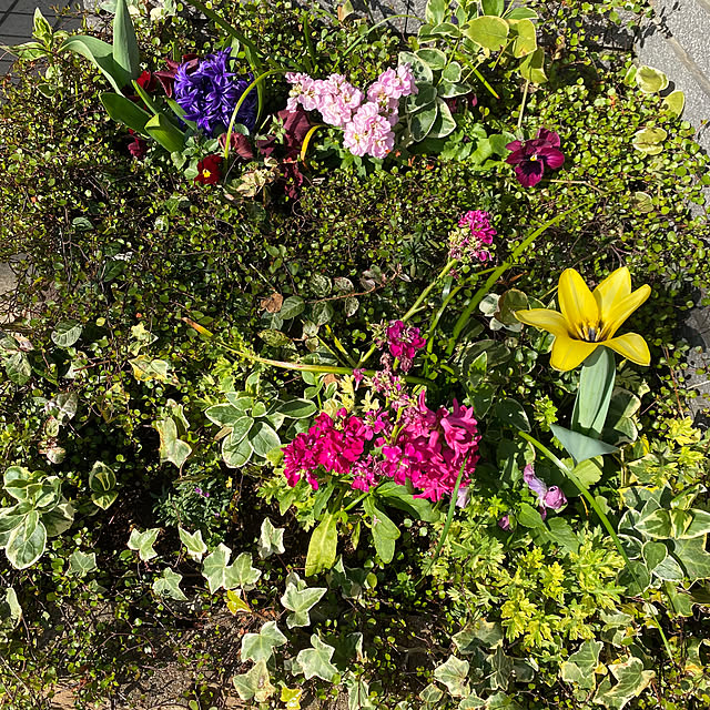 kimiさんの実例写真