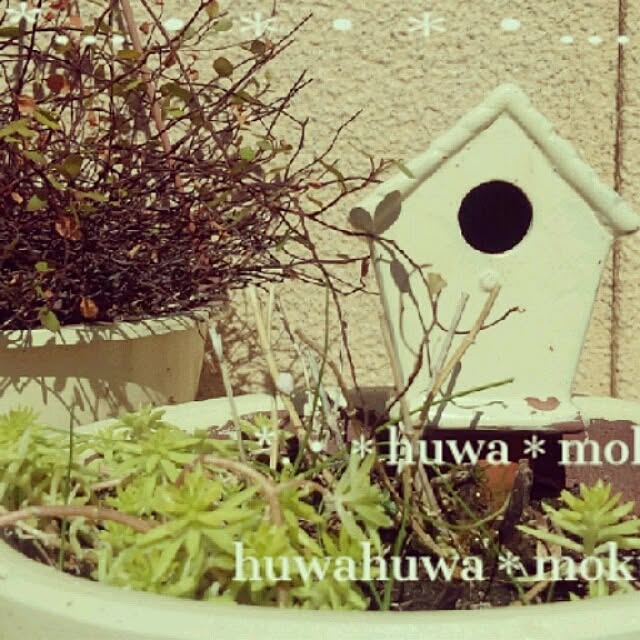 huwahuwa.mokumokuさんの実例写真