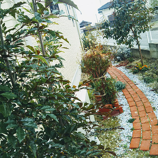 eriponさんの実例写真