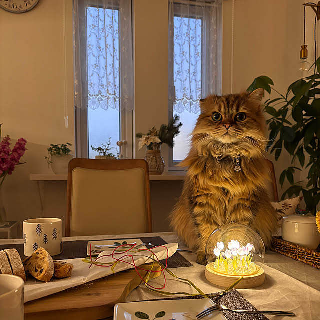 miyu39さんの実例写真