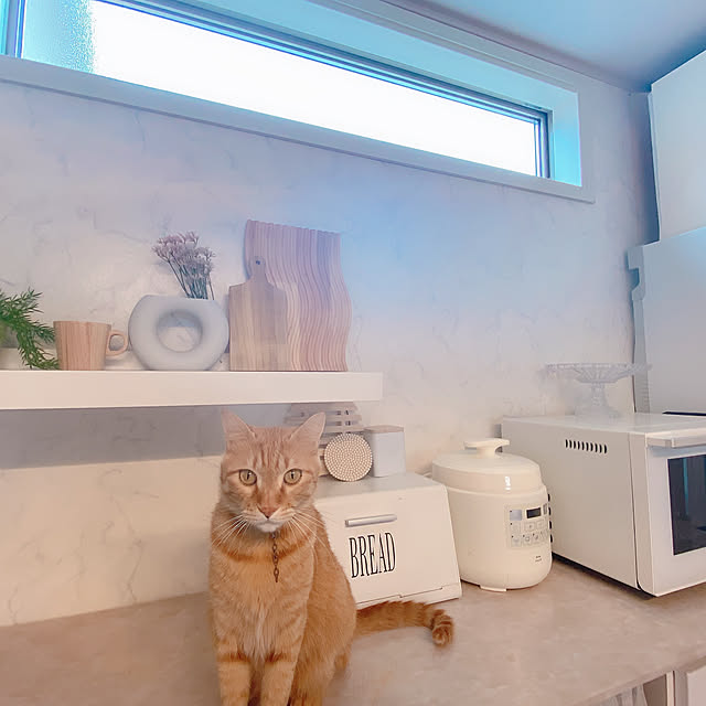 mii_home_39さんの実例写真