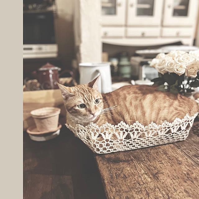 ataさんの実例写真