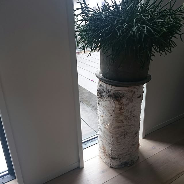 Nozomiさんの実例写真