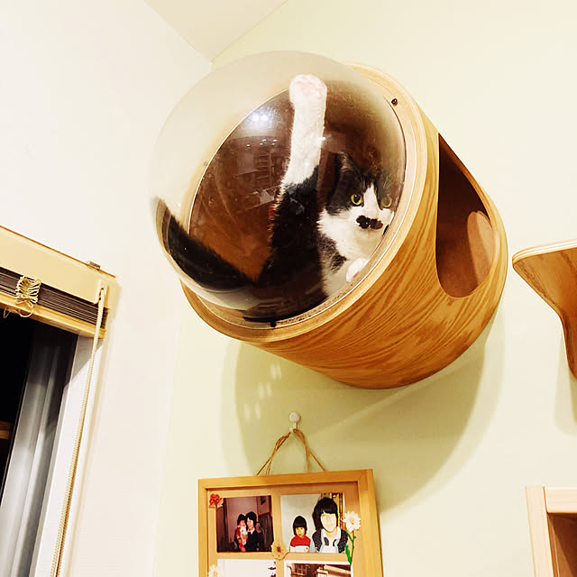sakura_171220さんの実例写真