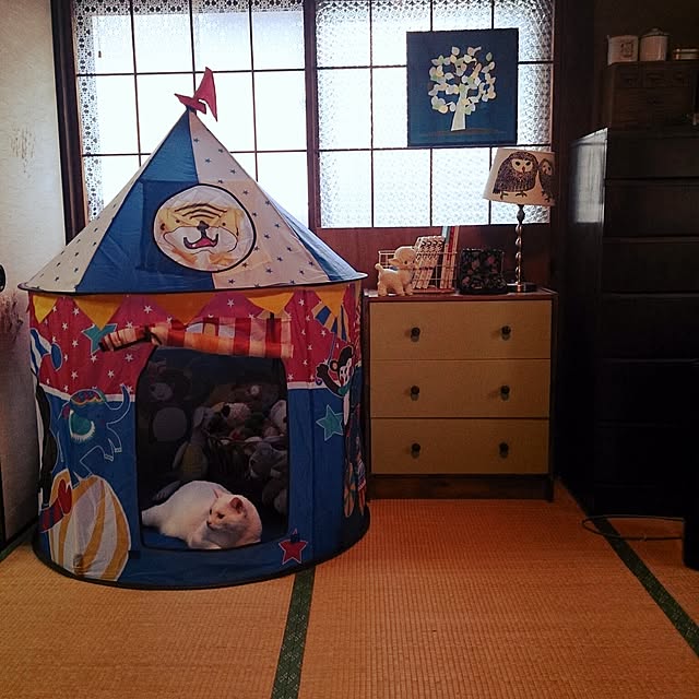 amifuuさんの実例写真