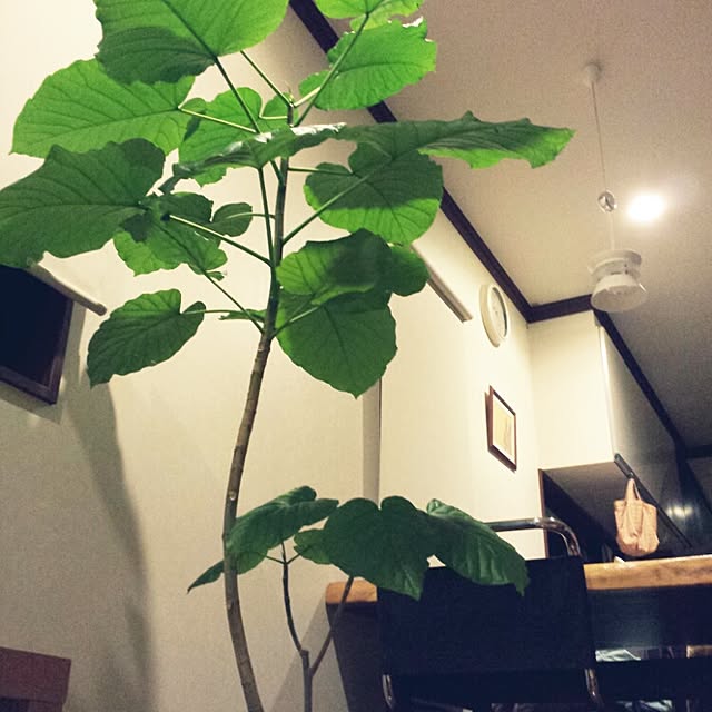 mamekoさんの実例写真