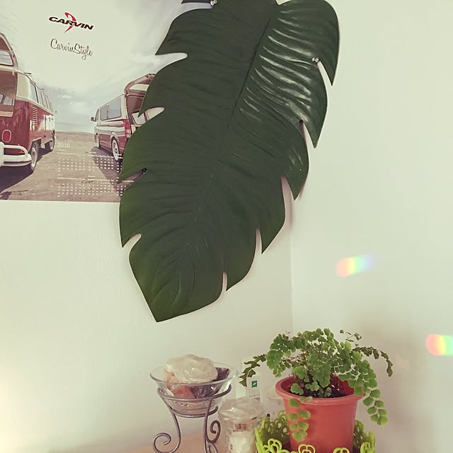 m.kantoh18_mikkoさんの実例写真
