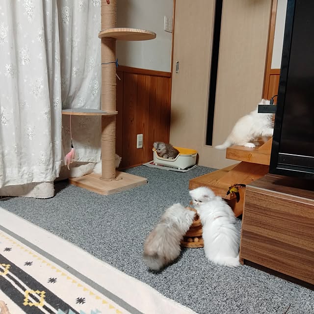 makaronさんの実例写真