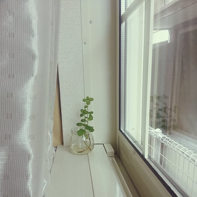 sachiさんの実例写真
