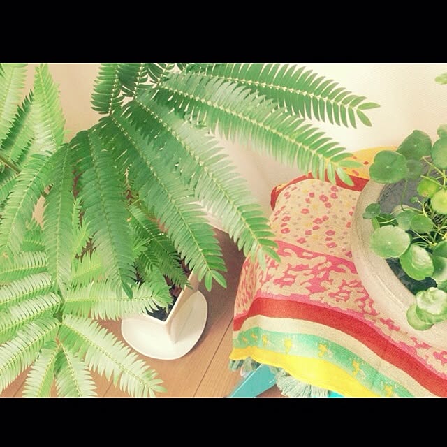 takkさんの実例写真