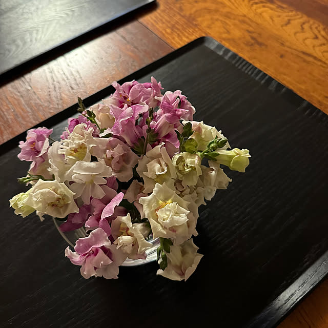 mamizaさんの部屋