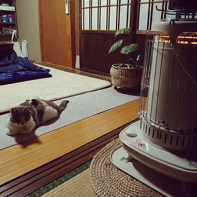fukuさんの実例写真