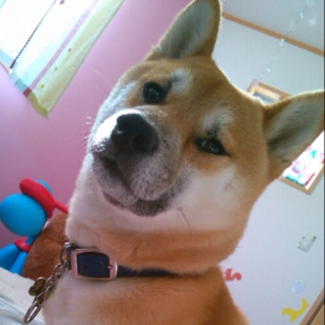 kotaさんの実例写真