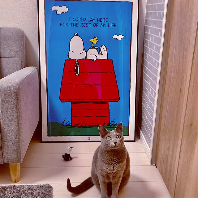 snoopyさんの実例写真