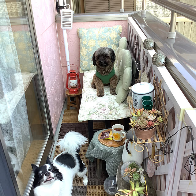 taeさんの実例写真
