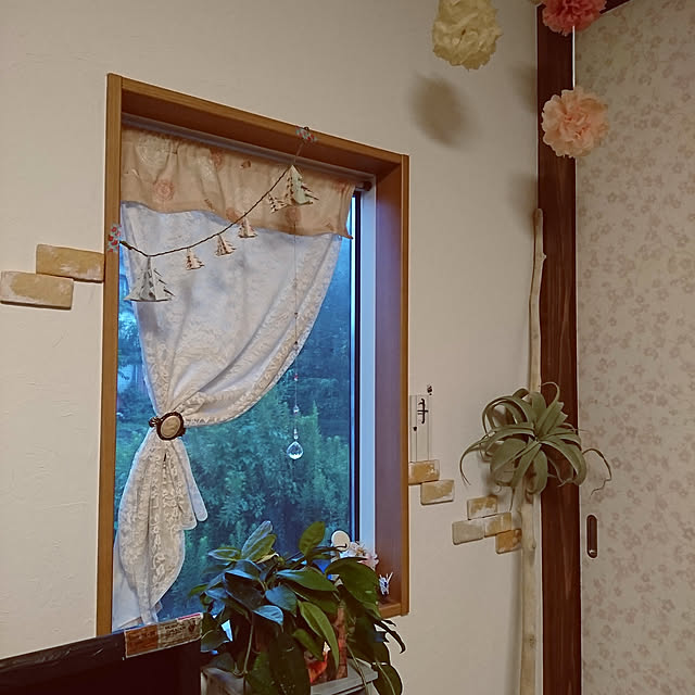 akiさんの実例写真