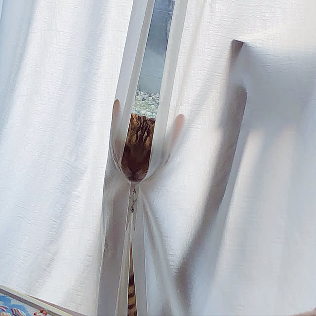 iranさんの実例写真