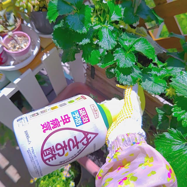 mariaさんの実例写真