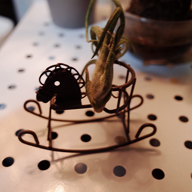 yukikunnnさんの部屋